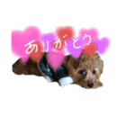 めろんのすたんぷです。（個別スタンプ：11）