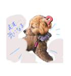めろんのすたんぷです。（個別スタンプ：15）