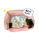 はっくんスタンプ、（個別スタンプ：23）