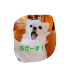 ミル4（個別スタンプ：1）