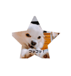 ミル4（個別スタンプ：4）