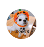 ミル4（個別スタンプ：5）