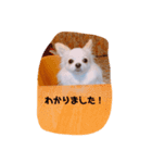 ミル4（個別スタンプ：7）