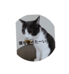 我が家のごまち③（個別スタンプ：7）
