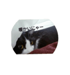我が家のごまち③（個別スタンプ：8）