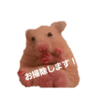 ハムキチスタジアム！（個別スタンプ：4）