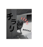 ほのぼのわんこライフ2（個別スタンプ：12）