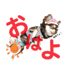 ほのぼのわんこライフ2（個別スタンプ：21）