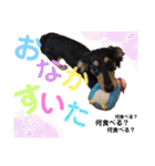 ほのぼのわんこライフ2（個別スタンプ：22）