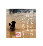 ほのぼのわんこライフ2（個別スタンプ：31）