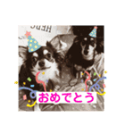 ほのぼのわんこライフ2（個別スタンプ：32）