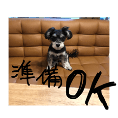 [LINEスタンプ] シュナマル りり 