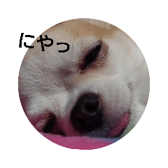 のん☆てん すたんぷ