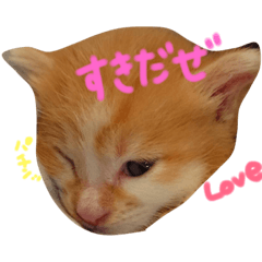[LINEスタンプ] はくとん2