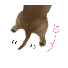 [LINEスタンプ] 大角家のわんこ 