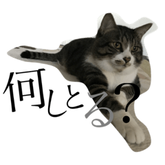 [LINEスタンプ] ルルのスタンプだお