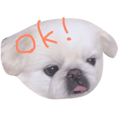 [LINEスタンプ] とらくん・スタンプ その2