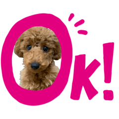 [LINEスタンプ] わさびの毎日スタンプ