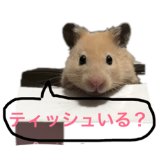 [LINEスタンプ] はむすたろう