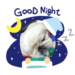 [LINEスタンプ] ペキニーズののんちゃん