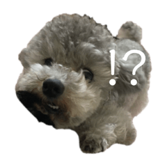 [LINEスタンプ] ハルさんスタンプ1