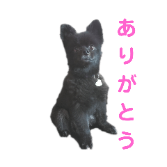 [LINEスタンプ] ナツメくんスタンプ