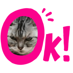 [LINEスタンプ] 平田家の天使達