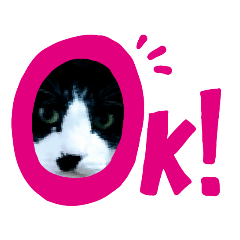[LINEスタンプ] セリフのスタンプ
