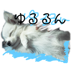 [LINEスタンプ] ゆるるんチワワのmilk