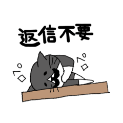 [LINEスタンプ] ちょび髭猫ちゃんの田平ハピナスの画像（メイン）