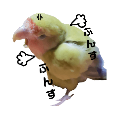 [LINEスタンプ] (๏‚θ‚๏)birdちゃんの画像（メイン）