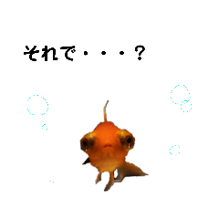 [LINEスタンプ] ゆかいな動物さん
