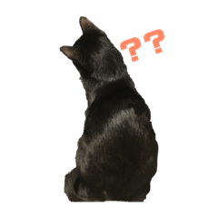 [LINEスタンプ] 黒猫ぬまさん
