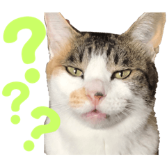 [LINEスタンプ] ぶちゃこ