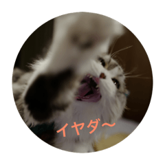 [LINEスタンプ] ネル様スタンプ