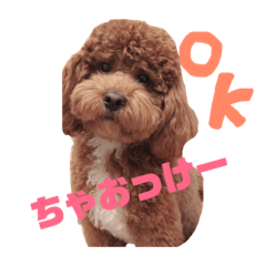 [LINEスタンプ] ちゃお2