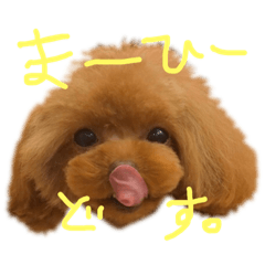 [LINEスタンプ] チータラさーん。2