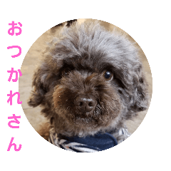 [LINEスタンプ] かいちょ一の日常