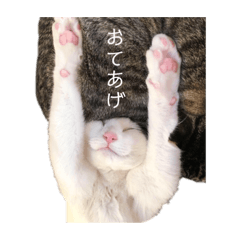 [LINEスタンプ] むぎとゆき fetchpriority=high