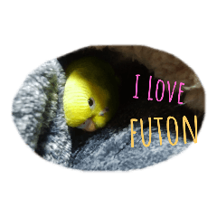 [LINEスタンプ] インコだらけ 