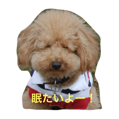 [LINEスタンプ] かのん.s 