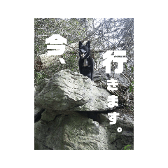 [LINEスタンプ] あい♡ラブ♡ドッグ
