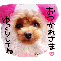 [LINEスタンプ] pmkhsスタンプ♡