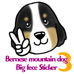 [LINEスタンプ] Bernese Mountain Dog Big Face Sticker！3