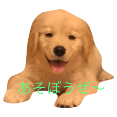 [LINEスタンプ] クゥたん❗️❗️ 