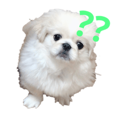 [LINEスタンプ] こむぎと仲間