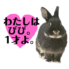 [LINEスタンプ] わたし、びびよ。 
