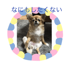 [LINEスタンプ] ぽんずとウニ 
