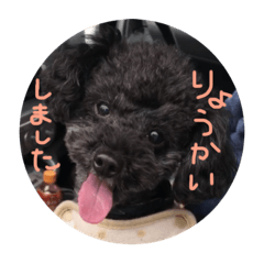[LINEスタンプ] 黒プーのジャムくん 