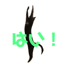 [LINEスタンプ] 定春の日常